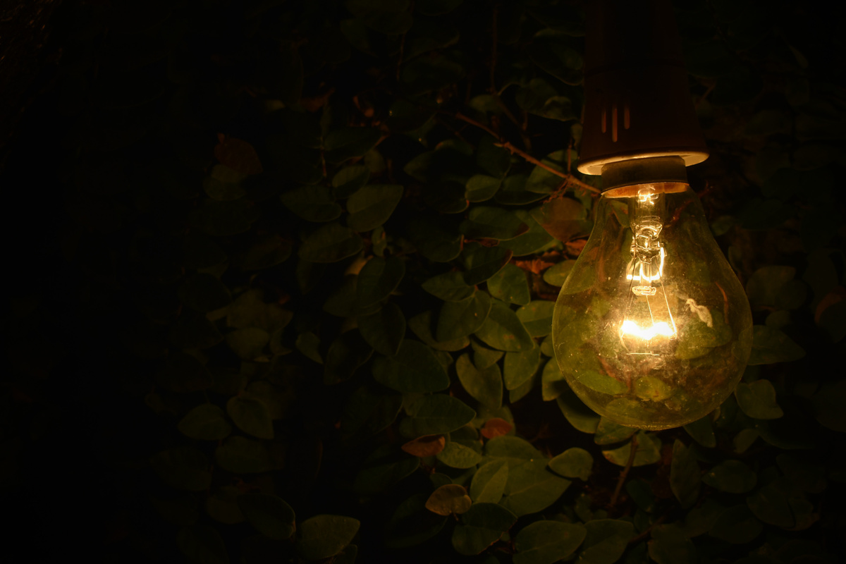 Turned-on Lamp Near Green Plants