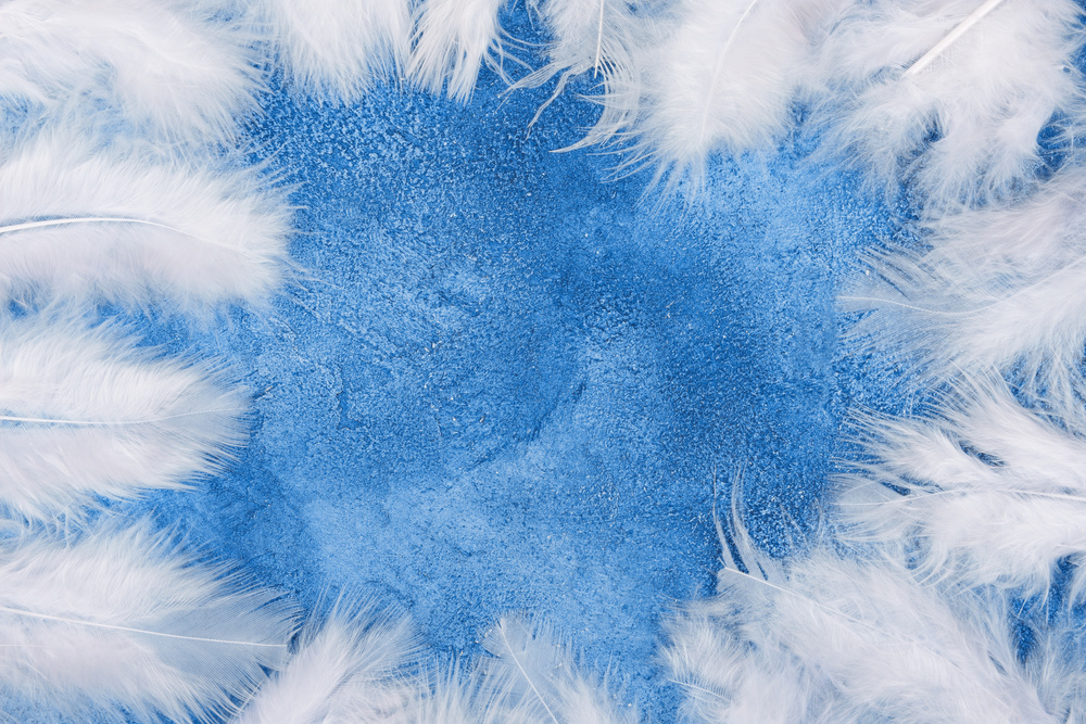 Fluffy white feathers forming a frame on a light blue marble or concrete background